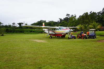 Time to fly back!, Kabalebo Nature Resort, 2022 Suriname