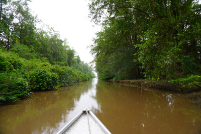 Canal to Bigi Pan, Tour to Nieuw Nickerie, 2022 Suriname