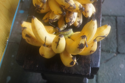 Nieuw Nickerie Markt: Real yellow bananas, Tour to Nieuw Nickerie, 2022 Suriname