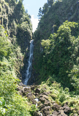 Trafalgar Falls (A), Waterfalls, 2022 Dominica