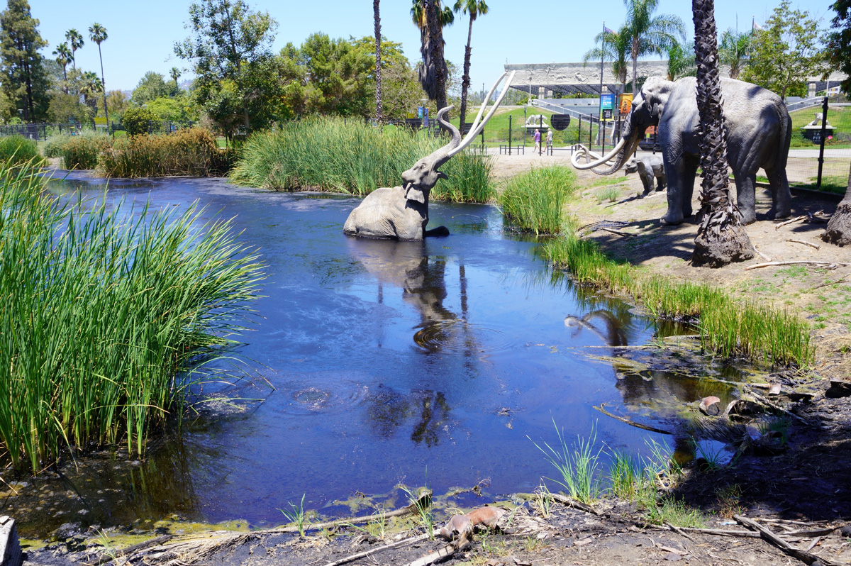 La Brea Tar Pits, Tar Lake, with model mammoths for verisimilitude