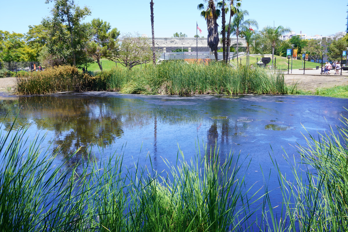 La Brea Tar Pits, Bubbling tar lake
