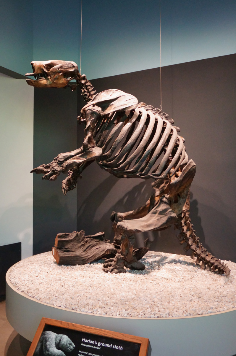 La Brea Tar Pits, Harlan