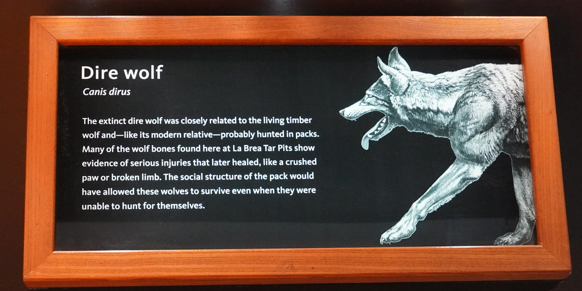 La Brea Tar Pits