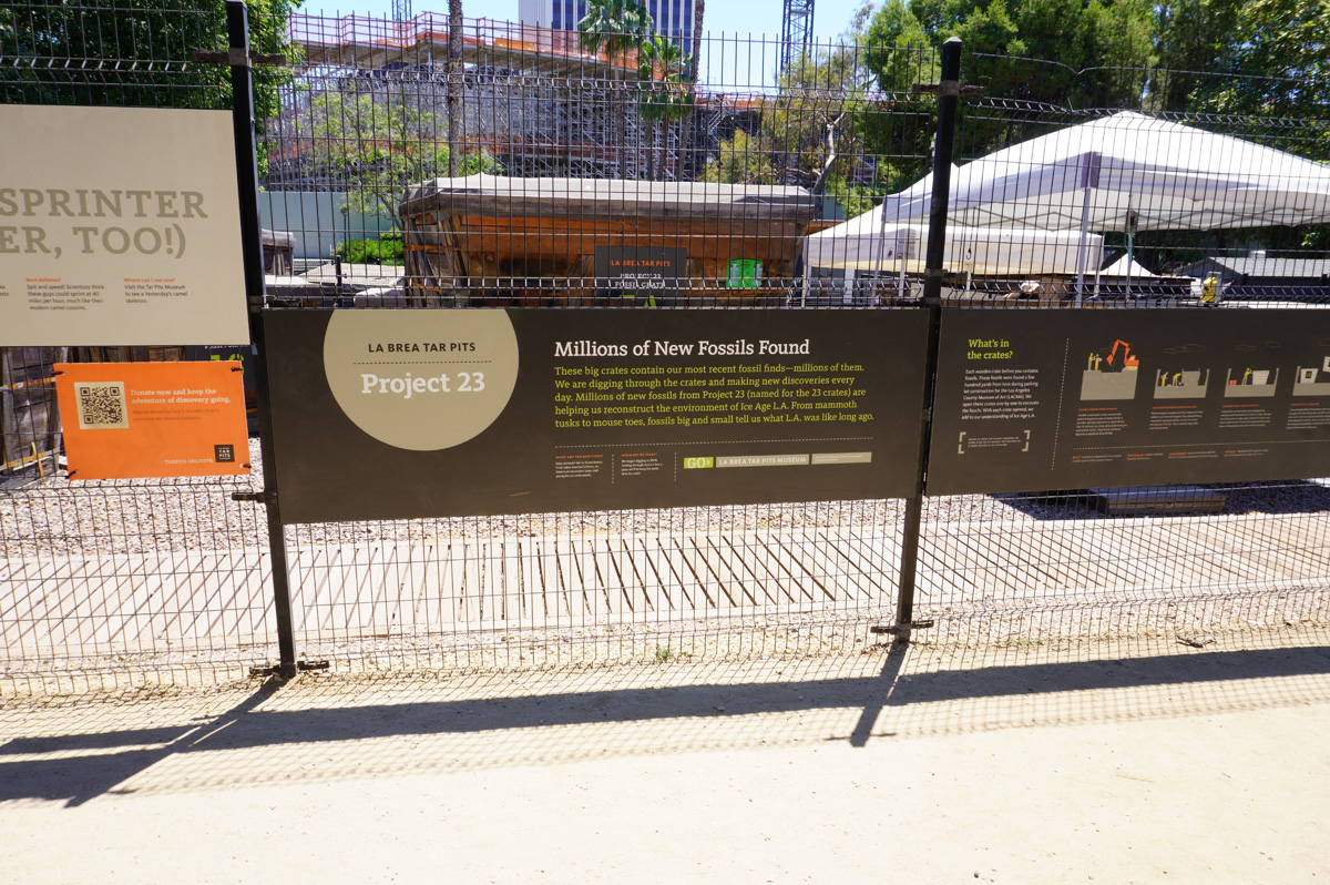 La Brea Tar Pits, Project 23: Active dig area