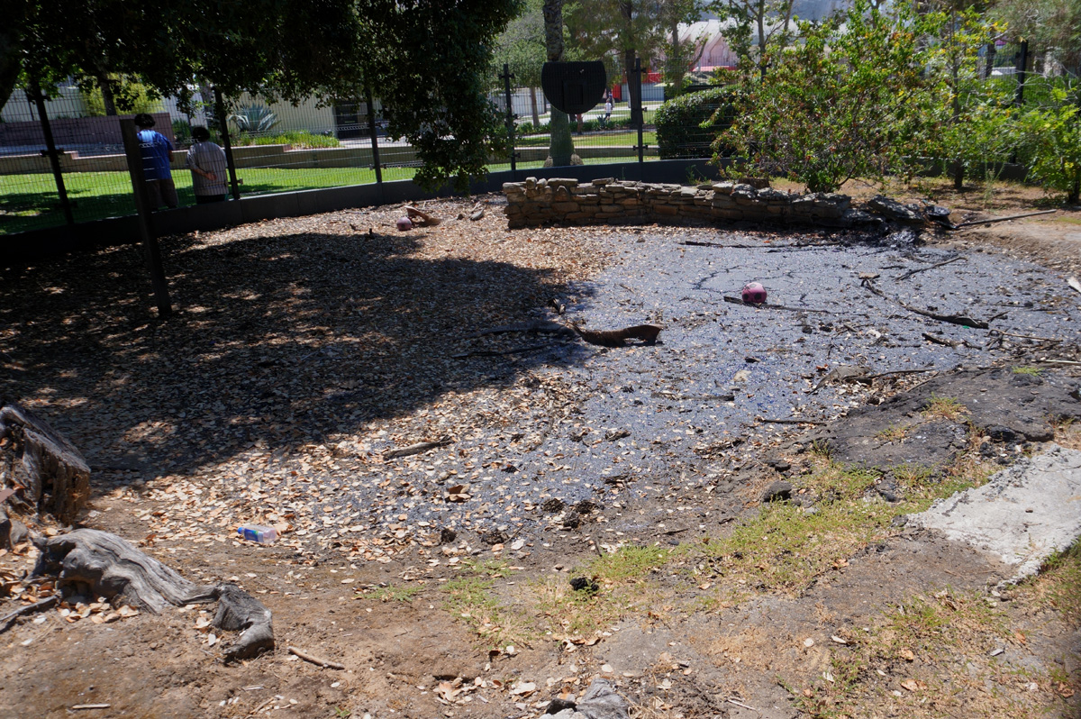 La Brea Tar Pits, Old Pit 13 tar pit