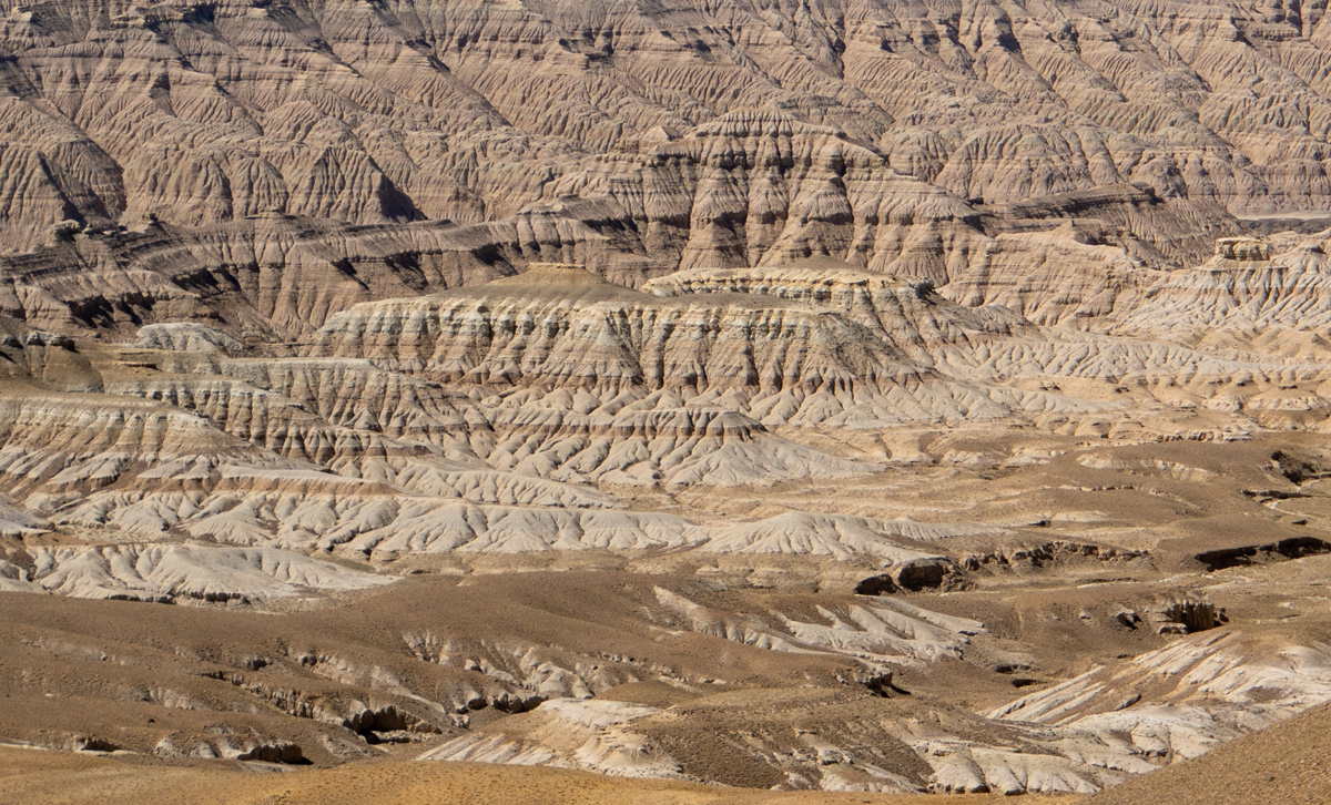 Darchen to Zanda, "Zhada Earthern Forest"