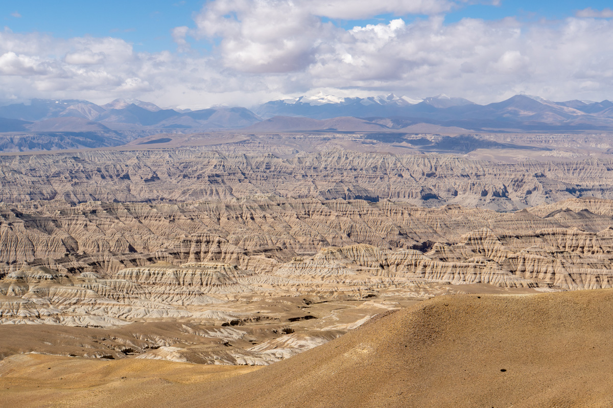 Darchen to Zanda, "Zhada Earthern Forest"