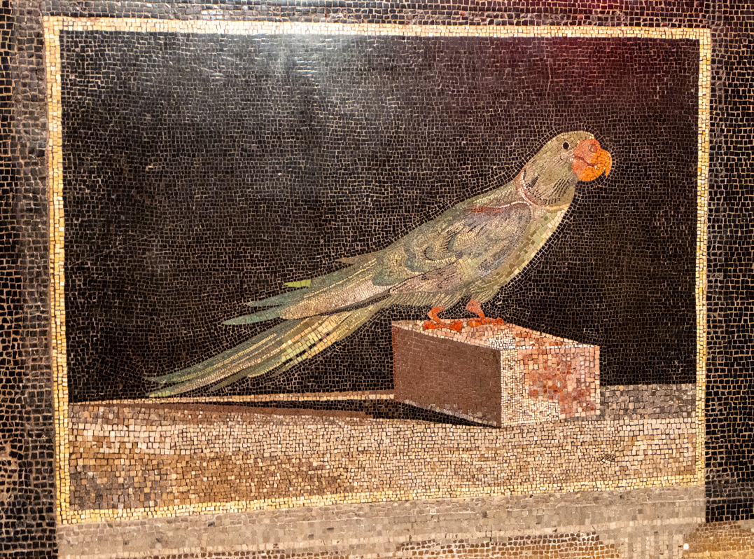 Berlin: Pergamon Panorama, (Heavily Restored) mosaic parrot