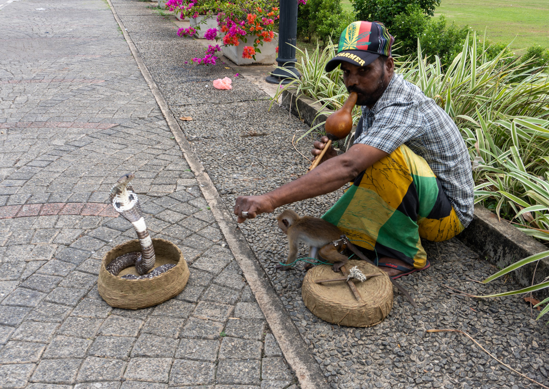 Around Colombo, "Authentic" snake charmer!
