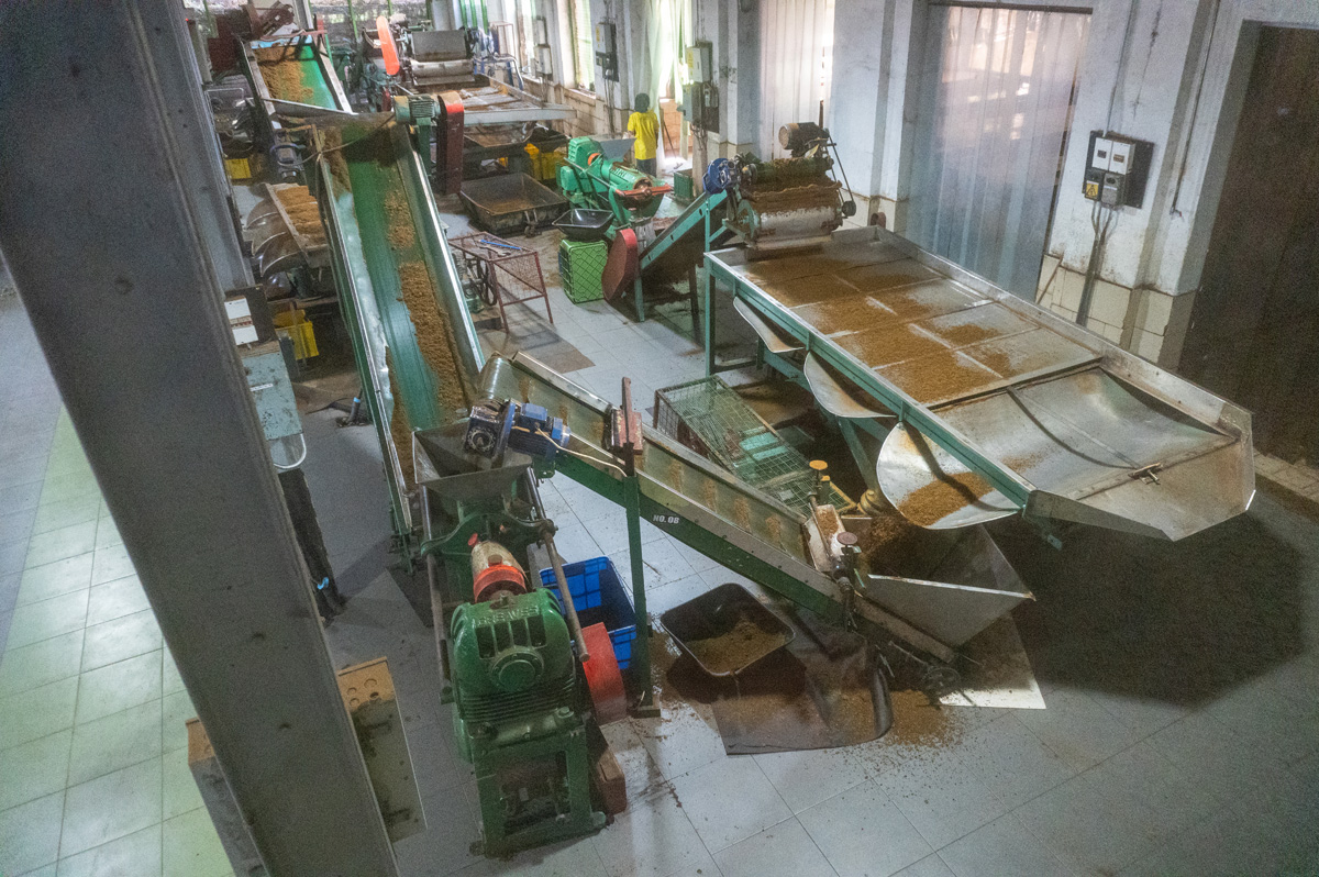 Damro Company at Labookellie: Tea Factory & Tea Safari, Tea Factory