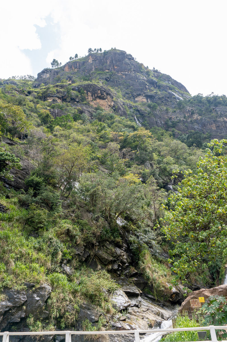 En route to Lunugamvehera NP, 2 miles South of Ella
