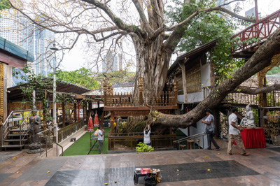 Colombo: Gangaramaya Temple, 2023 Sri Lanka++