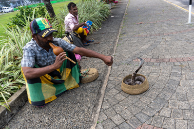 "Authentic" snake charmer!, Around Colombo, 2023 Sri Lanka++