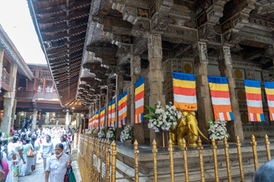 Temple of the Tooth, 2023 Sri Lanka++
