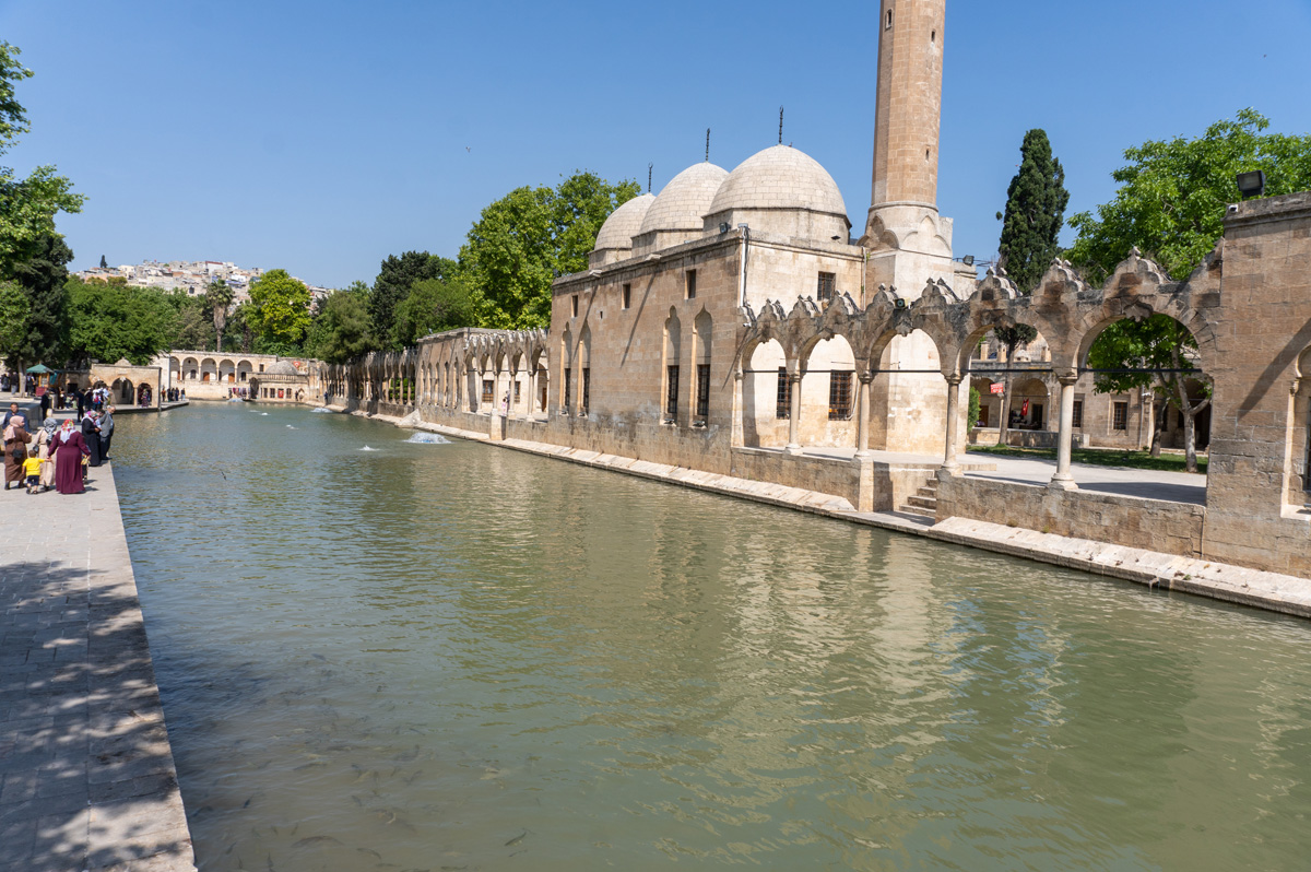 Şanliurfa, Balıklıgöl Sacred Fish Pond