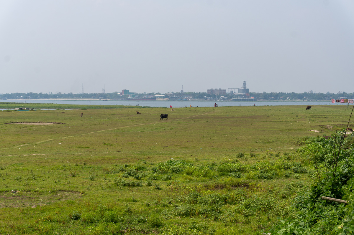Sonārgaon Tour, Broad flood plain pasture land They know it will flood in the rainy season