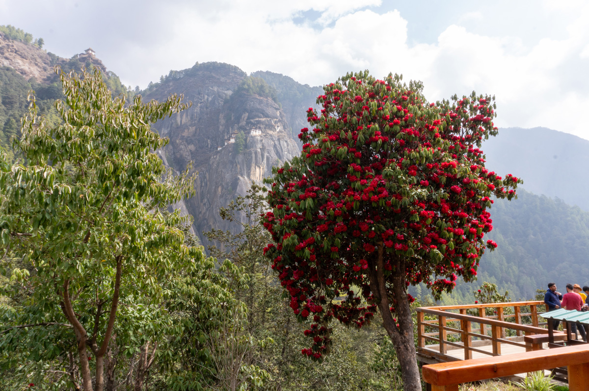 Paro Taktsang Monastery: the "Tiger’s Nest", View from Tea Room