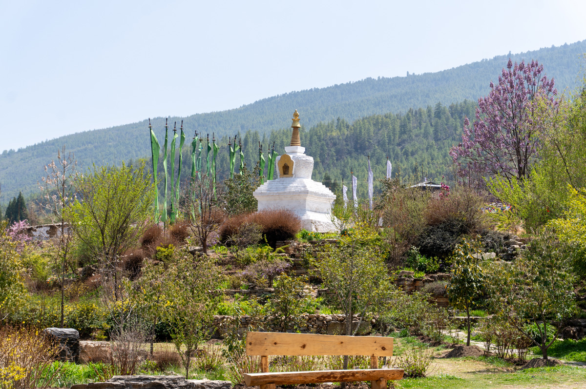 Around Paro, Kyichu Lhakhang