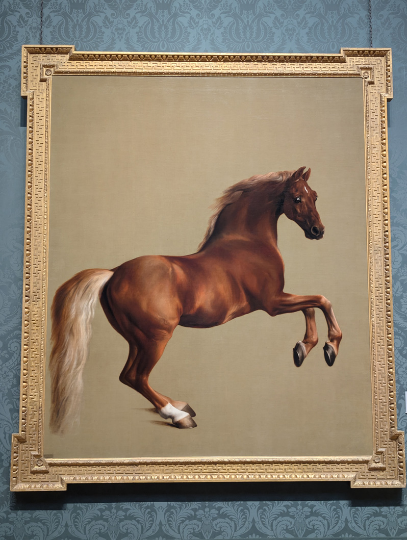 London: National Gallery, Stubbs.  Whistlejacket (~1762)