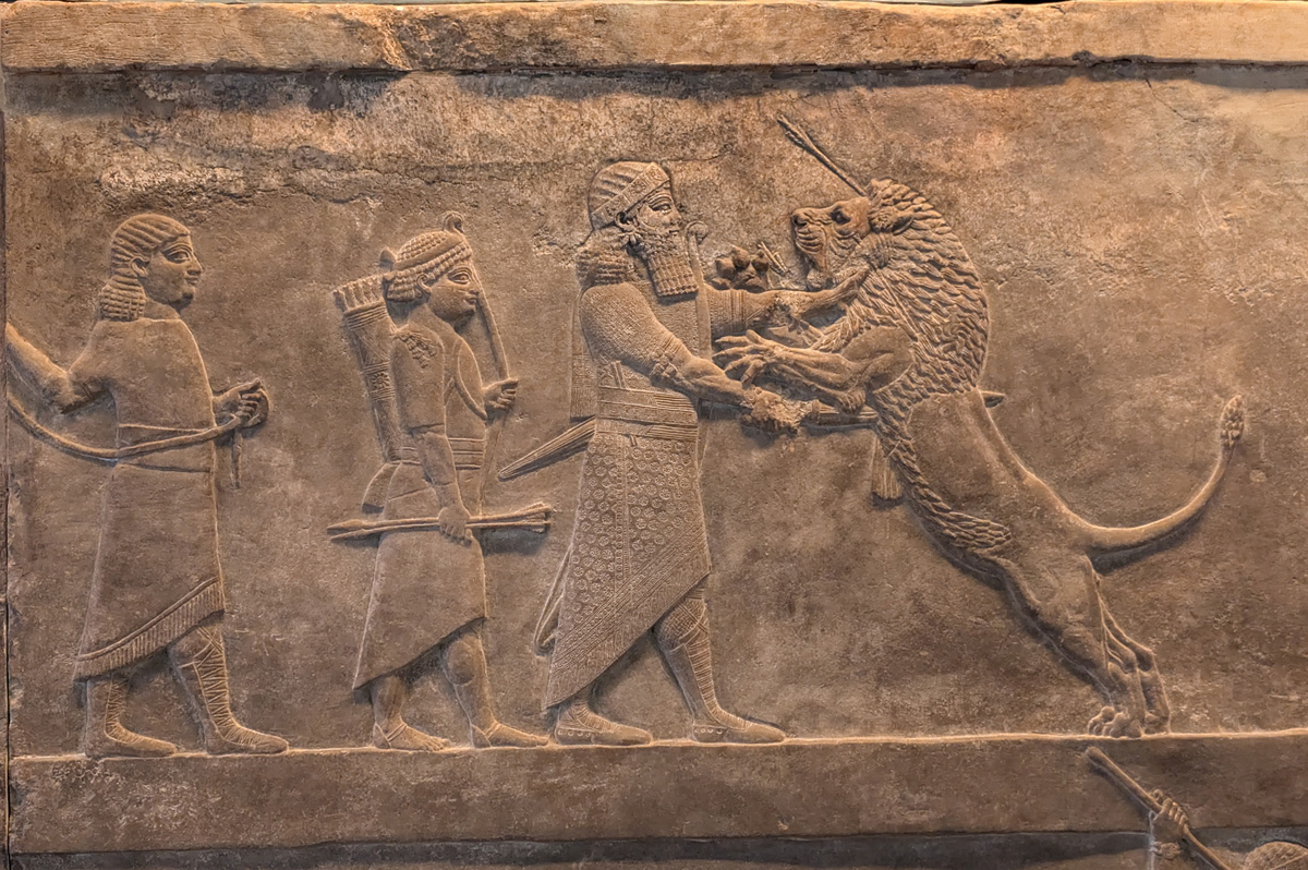 British Museum: Assyrian Section, H.M. Ashurbanipal bravely slays a wounded lion Note the writing stylus tucked in His Majesty