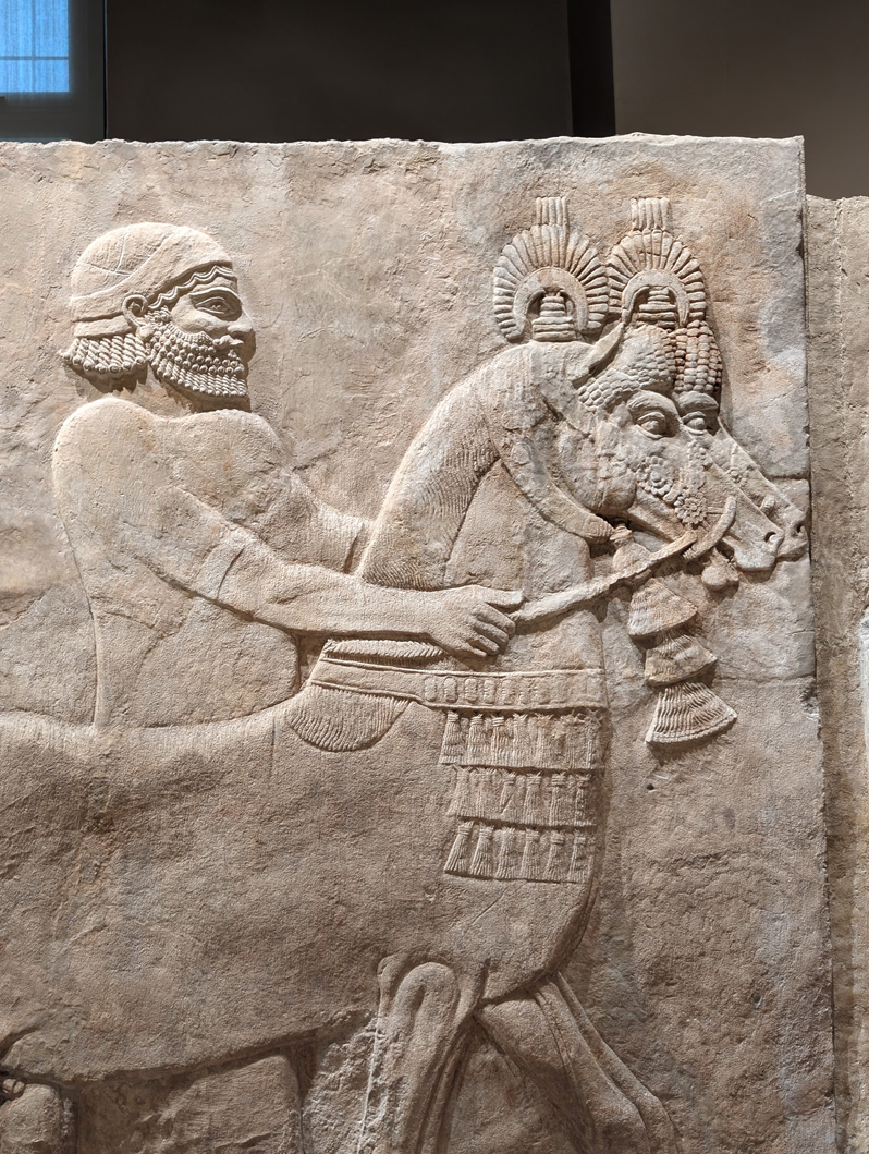 The Institute for the Study of Ancient Cultures (neé The Oriental Institute)