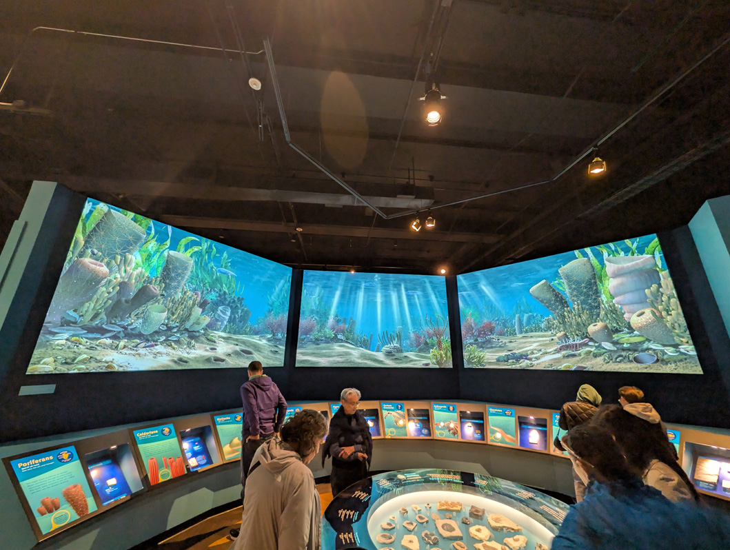 Chicago, Illinois, Field Museum: Cambrian Aquarium