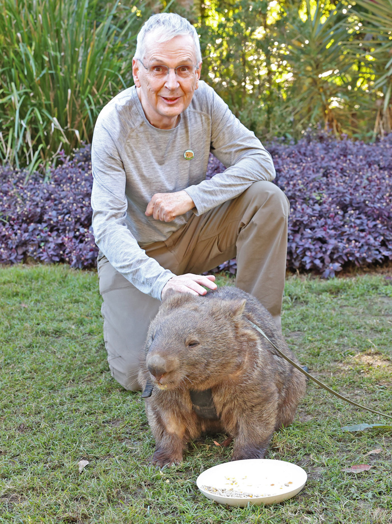 Animal Encounters, Naughty Wombat Encounter Elle is only in it for the snacks