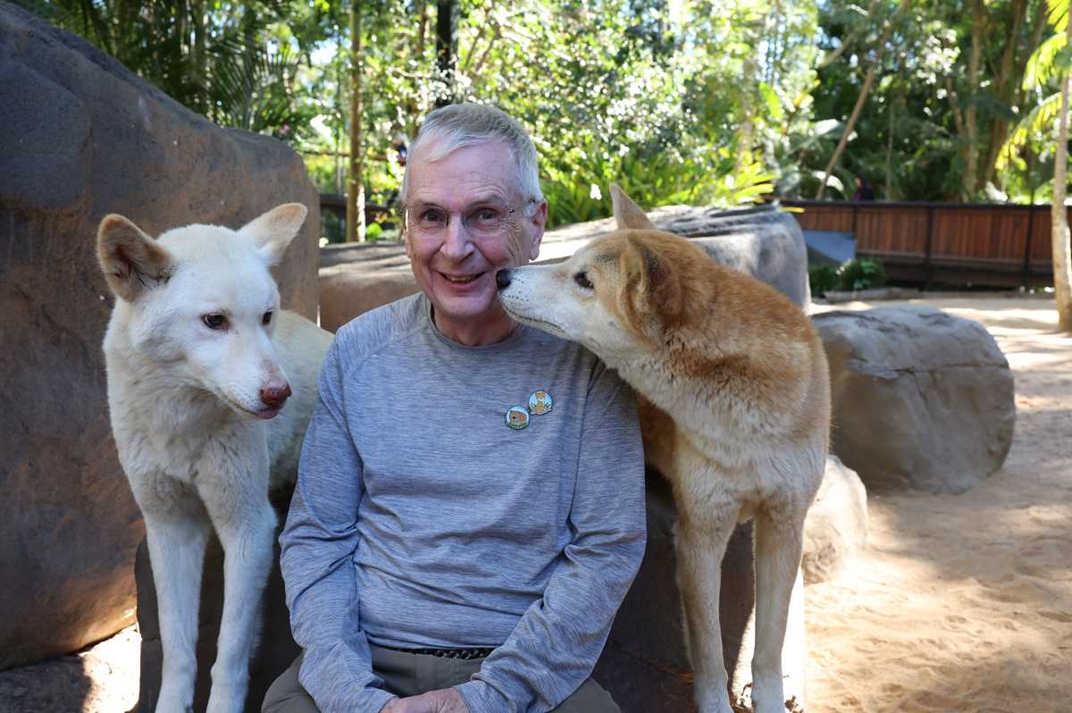 Animal Encounters, By Jingo Dingo Encounter