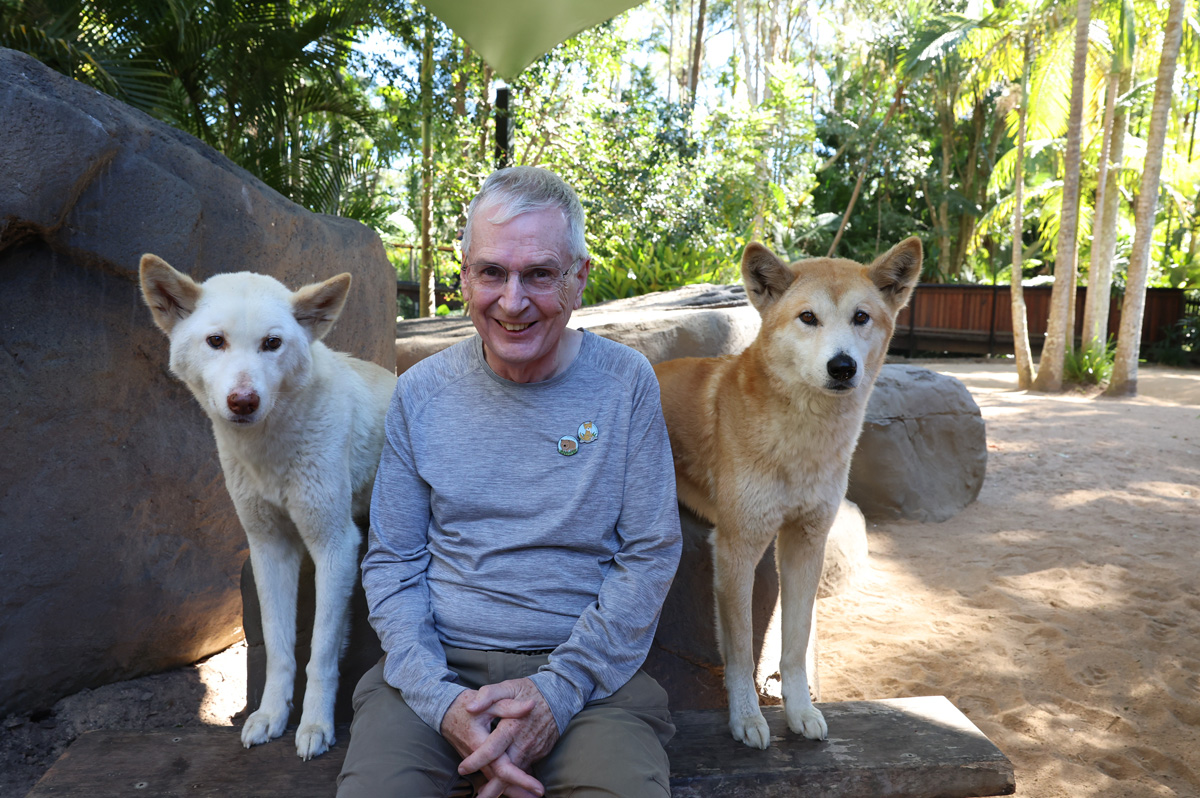 Animal Encounters, By Jingo Dingo Encounter With two <i>reasonably</i> amiable Dingoes