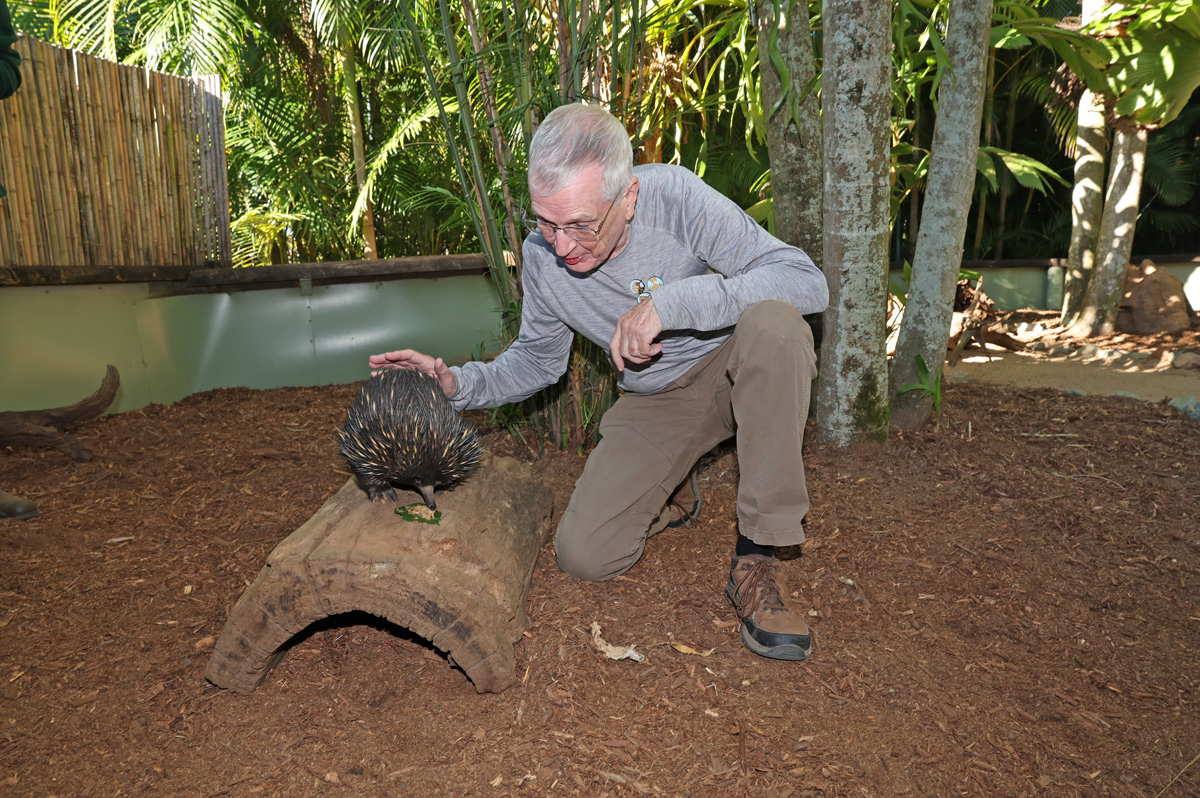 Animal Encounters, Spiky Little Echidna Encounter With a very mellow 24 year old short-beaked echidna