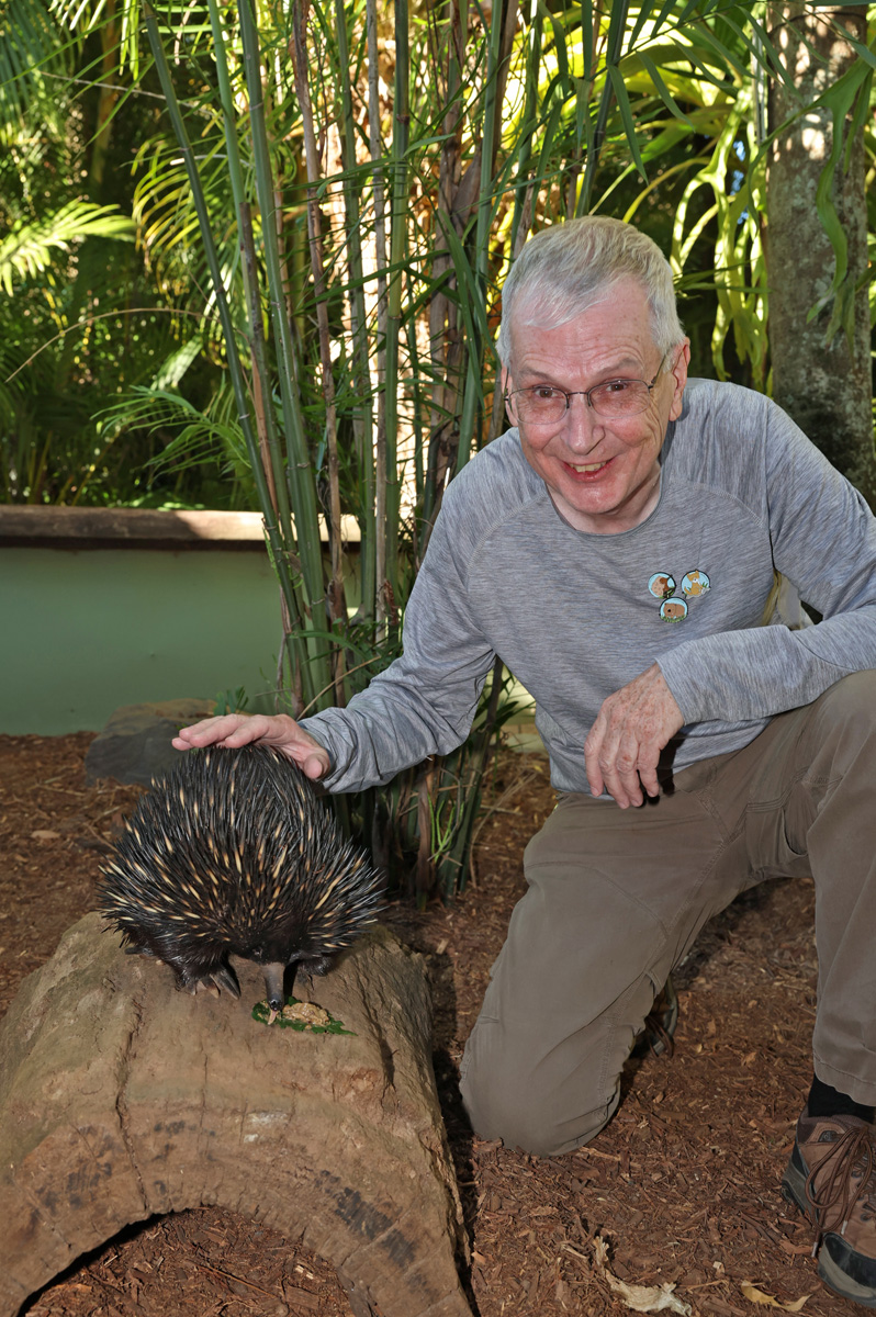 Animal Encounters, Spiky Little Echidna Encounter