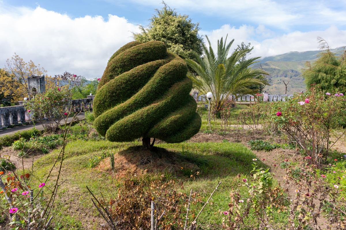 Maubisse Tour, Striking Topiary