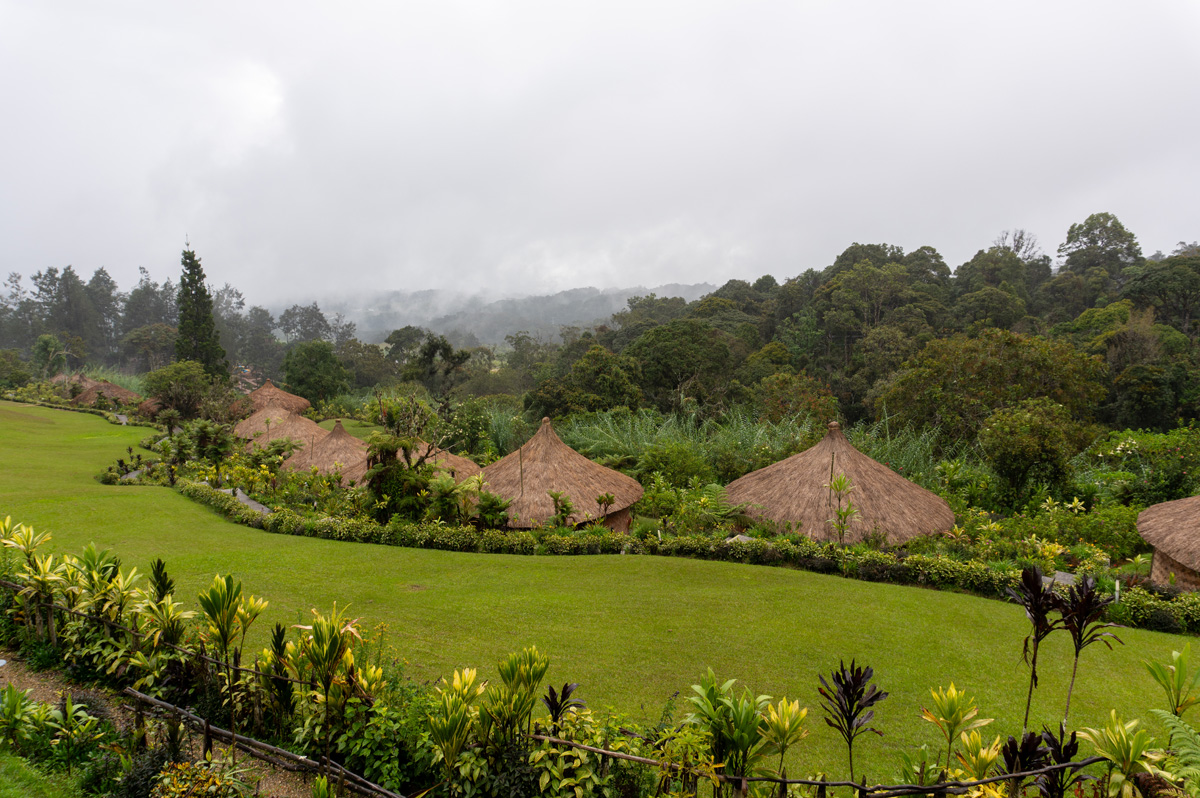 Around Tari, Foggy view from Ambua Lodge