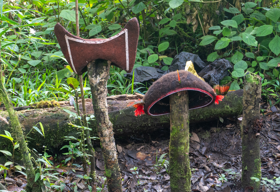 Ambua Day One: Huli Wigmen, Spirity Dance, Wigmen School, Activity #3: Wigman School: Example finished wigs