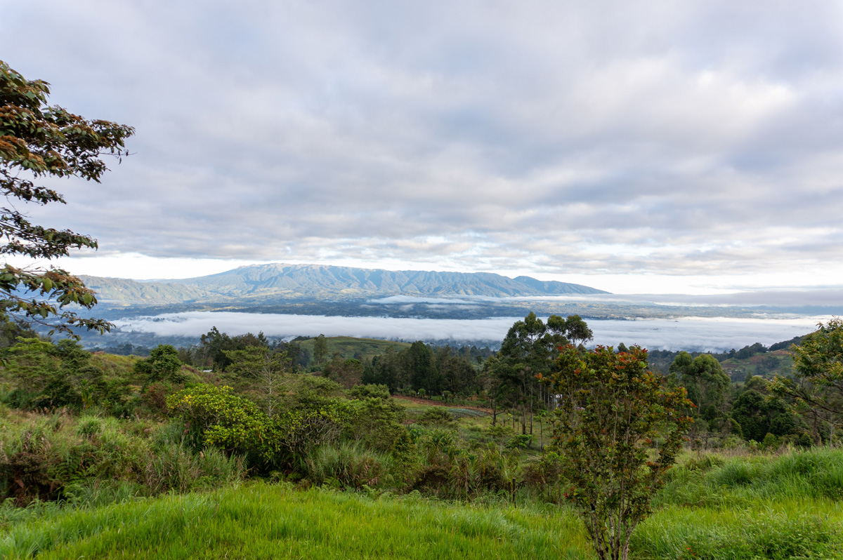 Rondon Ridge Day Two: Cultural Shows, Morning view from Rondon Ridge