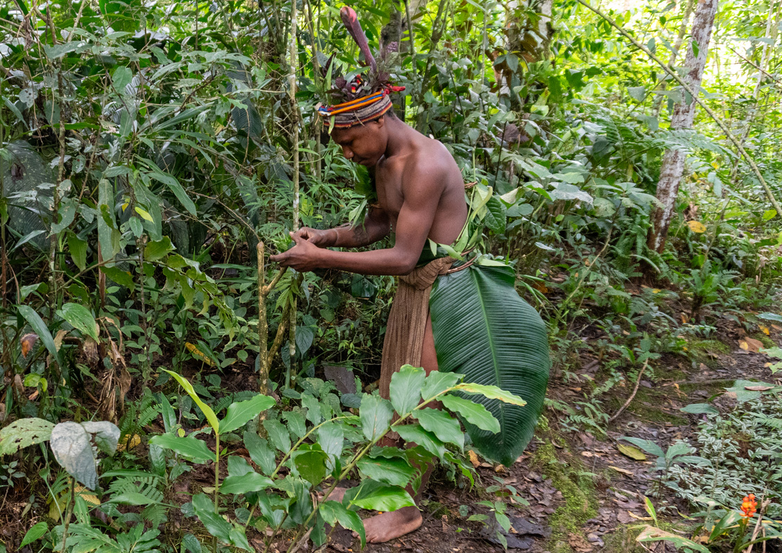 Rondon Ridge Day Two: Cultural Shows, ... te spirit is lured into a bamboo bundle ...