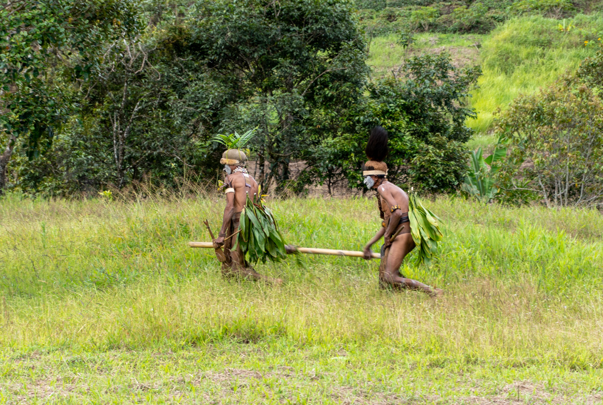 Rondon Ridge Day Two: Cultural Shows, Our investigators track the culprit