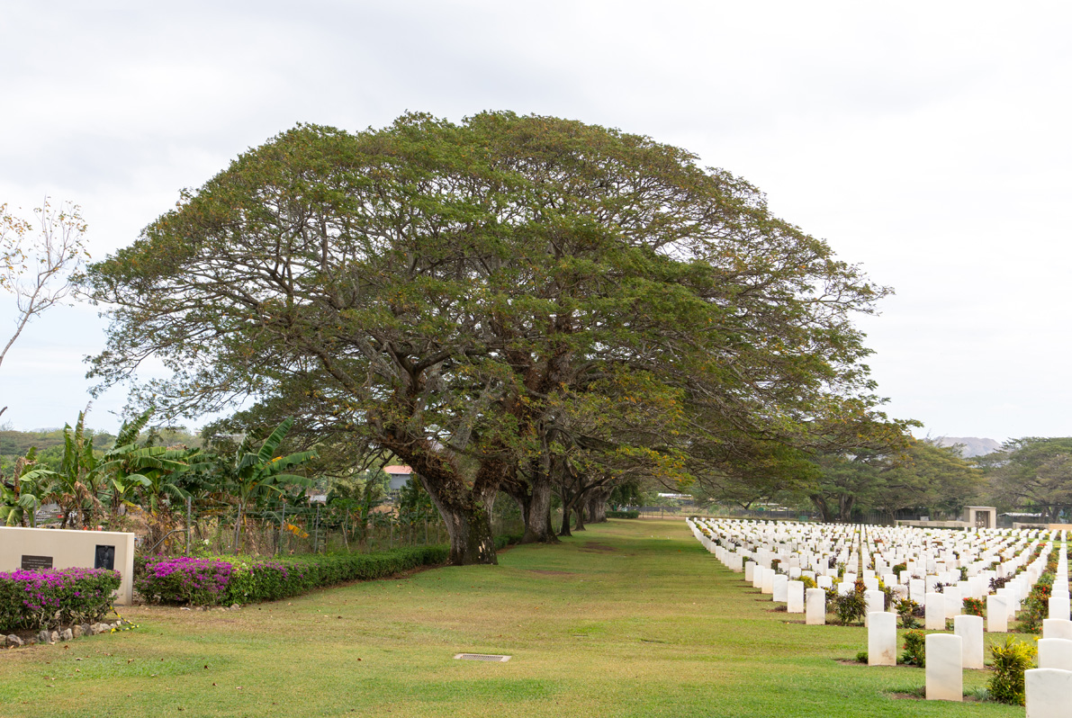 Port Moresby Tour, Bomana WWII Military Cemetery