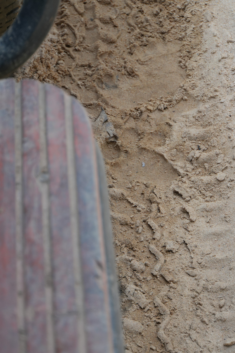 Around Bandhavgarh National Park, Tiger print
