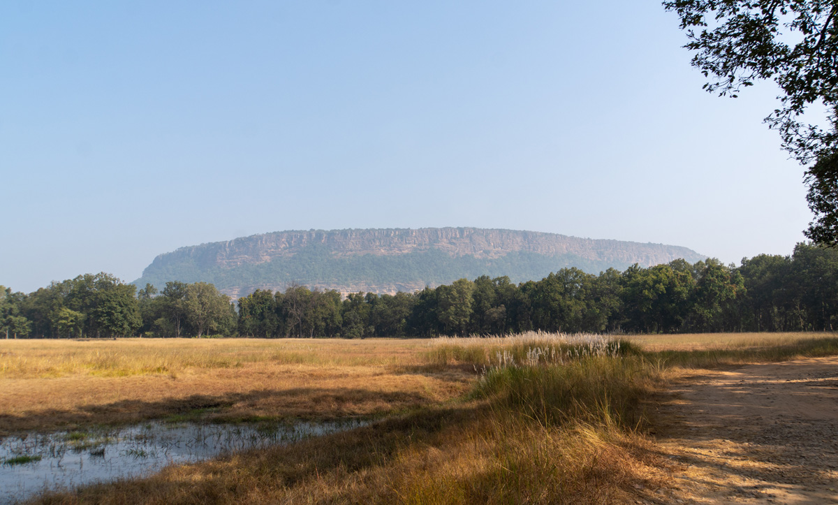 Around Bandhavgarh National Park, View to Bandhavgarh Plateau