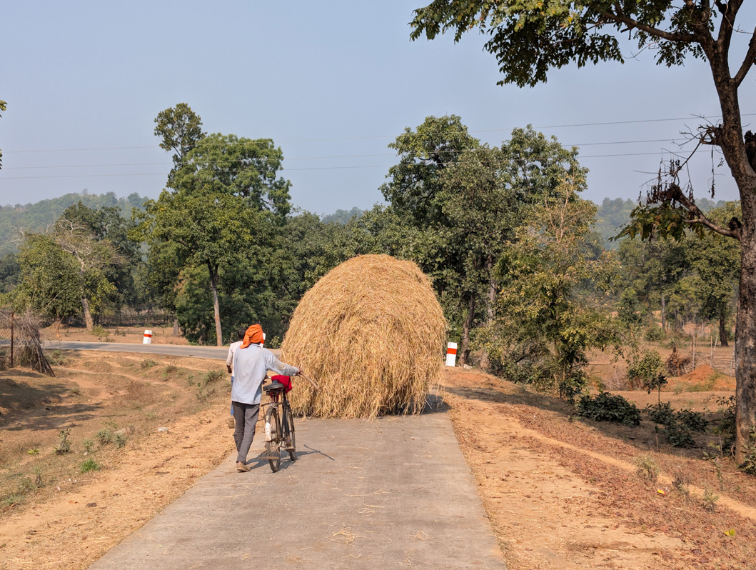 Around Bandhavgarh National Park, Outside the park, a road slowdown
