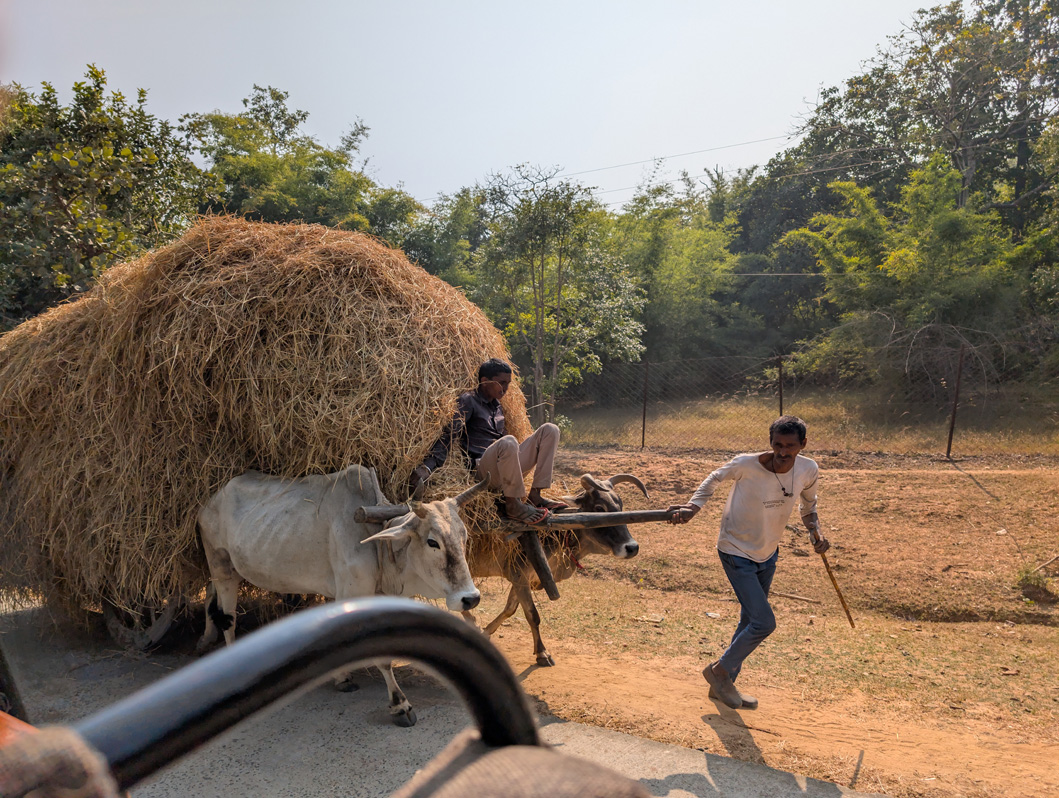 Around Bandhavgarh National Park