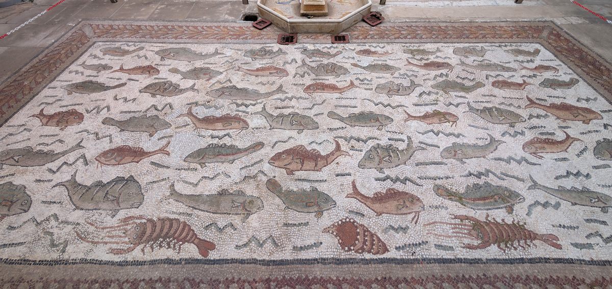 Algiers: Museum of Antiquities, Fishy Mosaic