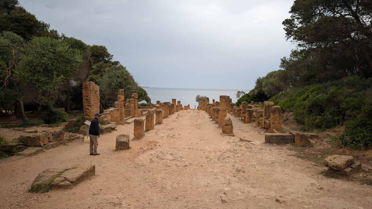 Tipaza