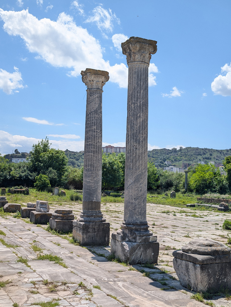 Hippo Regius Ruins, Forum.  Columns have unusual Ionic-Corinthian composite capitals
