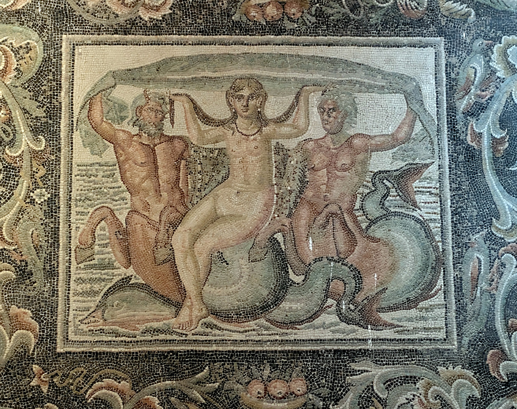 Timgad Site Museum, Triumph of Venus. with Tritons