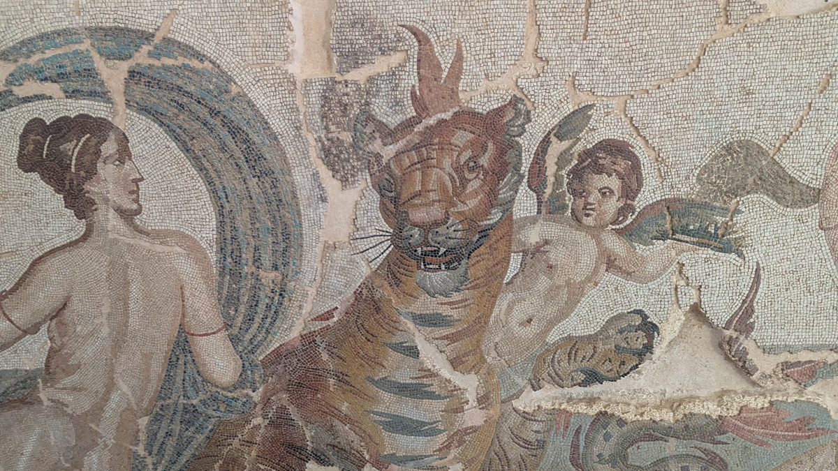 Timgad Site Museum, Nereid detal