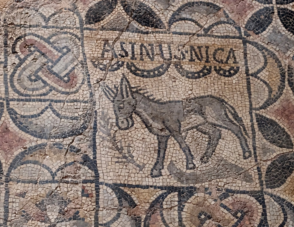 Djemila, Asinus Nicus ("The Donkey Wins") Mosaic