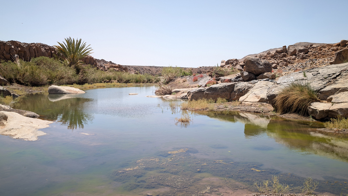 Tamanrasset / Assekrem, Afilal pool / oasis